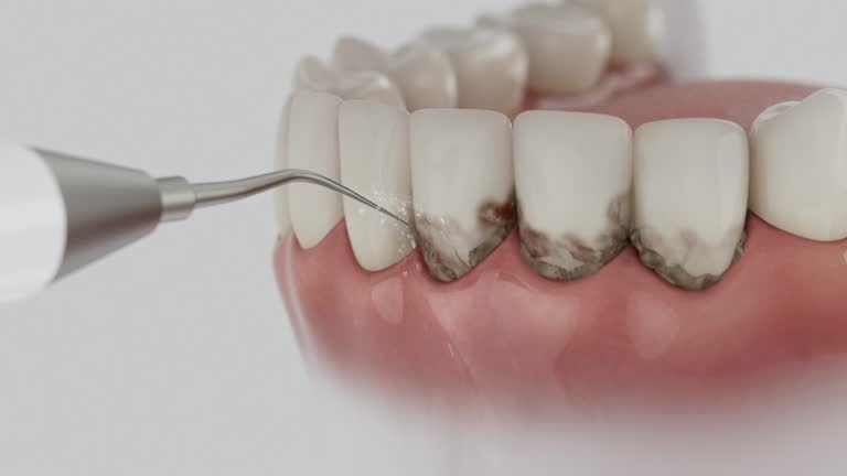 Reliable Dental contractor in Carleton, MI by Dentist Open Now